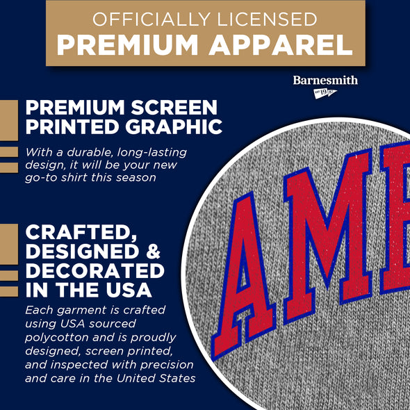 American University Spirit T-Shirt (Charcoal Grey)