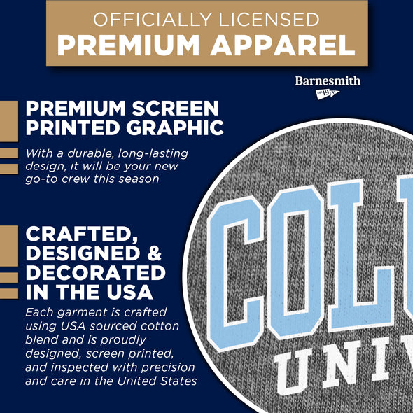 Columbia University Essential Sweatshirt (Grey)