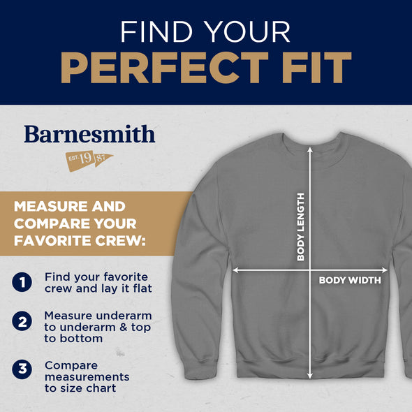 Harvard University Spirit Sweatshirt (Charcoal Grey)