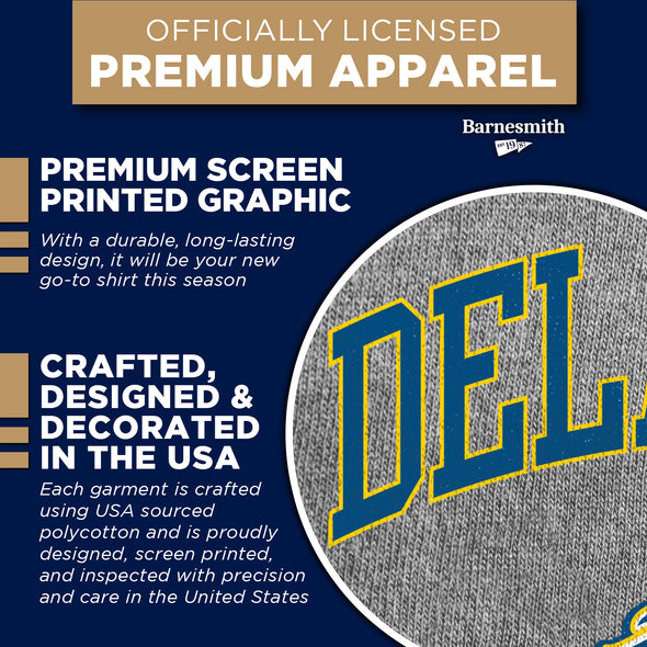 University of Delaware Spirit T-Shirt (Charcoal Grey)