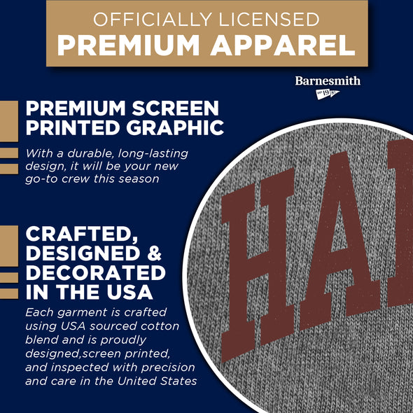 Harvard University Classic Sweatshirt (Charcoal)