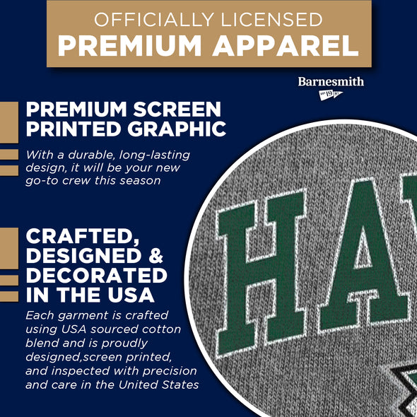 University of Hawaii Spirit Sweatshirt (Charcoal Grey)