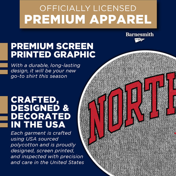 Northeastern University Spirit T-Shirt (Charcoal Grey)