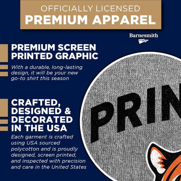 Princeton University Spirit T-Shirt (Charcoal Grey)