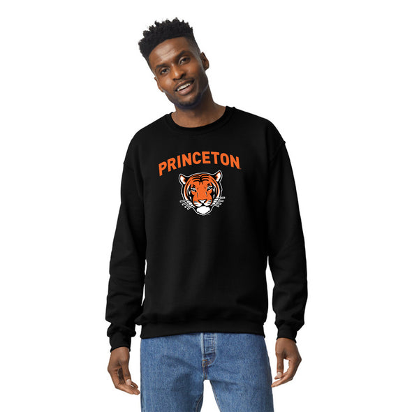 Princeton University Spirit Sweatshirt (Black)