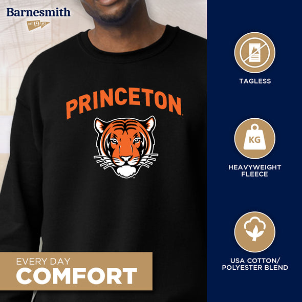 Princeton University Spirit Sweatshirt (Black)