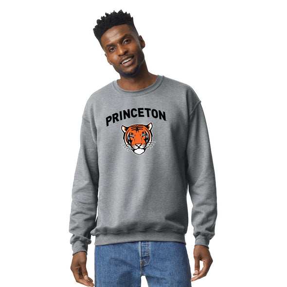 Princeton University Spirit Sweatshirt (Charcoal Grey)