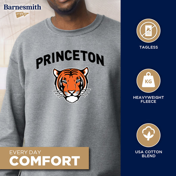 Princeton University Spirit Sweatshirt (Charcoal Grey)