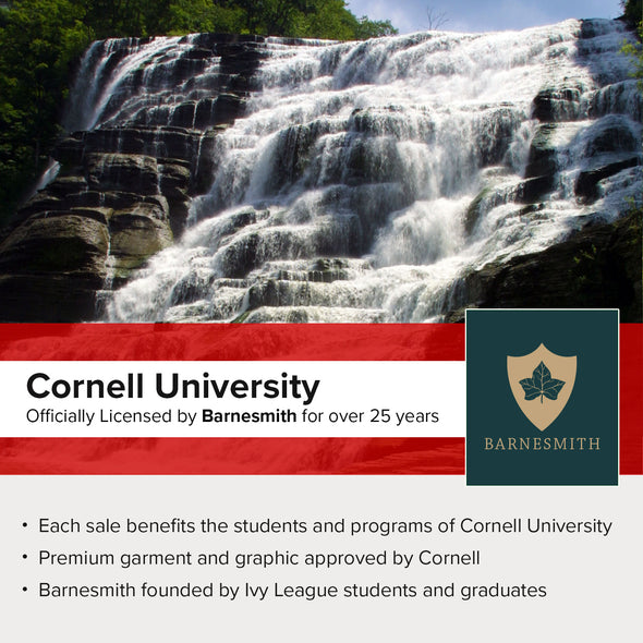Cornell University Spirit T-Shirt (Charcoal Grey)