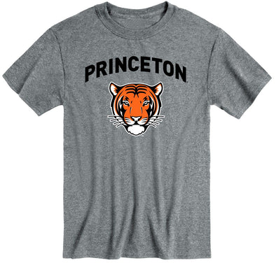 Princeton University Spirit T-Shirt (Charcoal Grey)